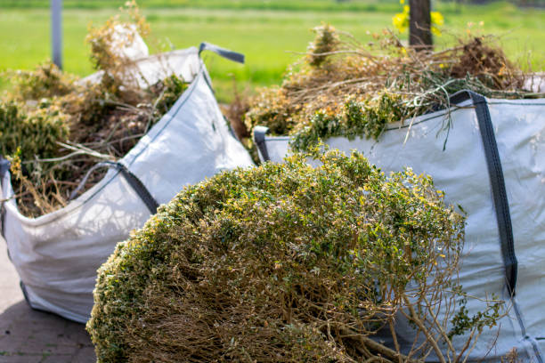 Best Affordable Junk Removal Services  in Bel Nor, MO
